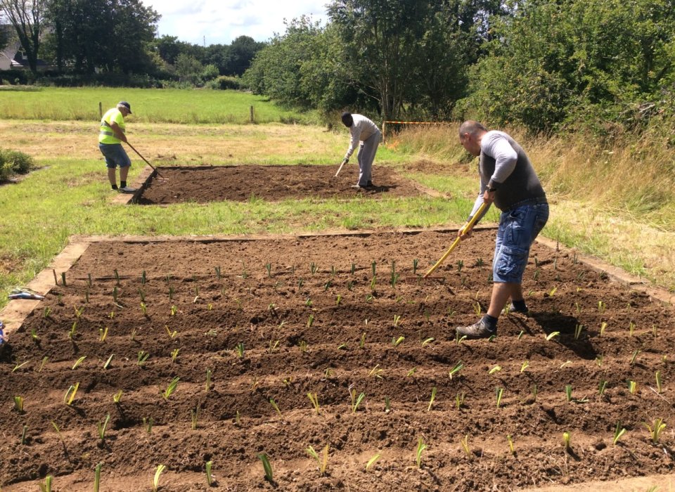 Brest:le jardin solidaire c'est reparti Brest:le jardin solidaire c'est reparti