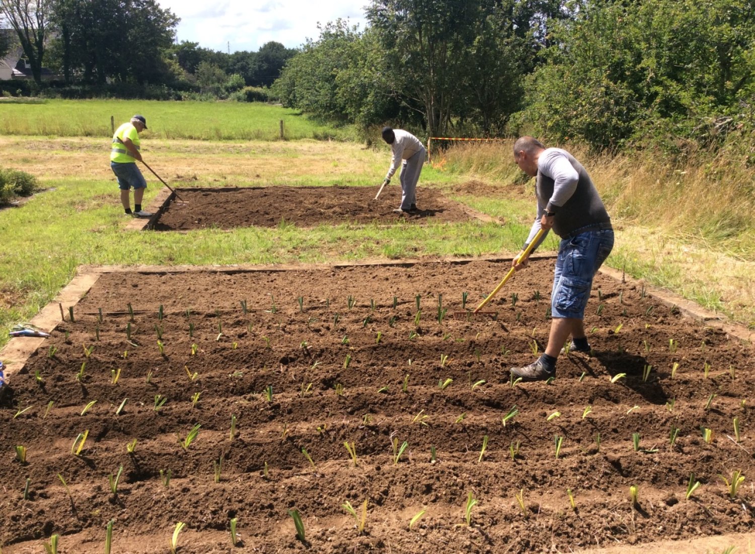 Brest:le jardin solidaire c'est reparti